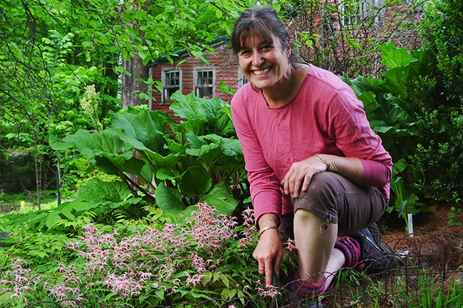 Digging Deeper: Epimedium Love - CANCELED